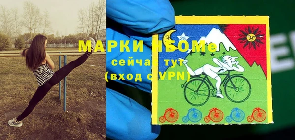 крисы Магадан