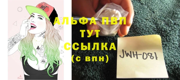 крисы Магадан