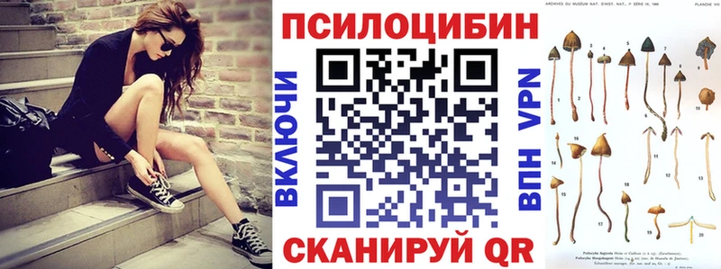 наркотики  Рассказово  Галлюциногенные грибы мицелий 